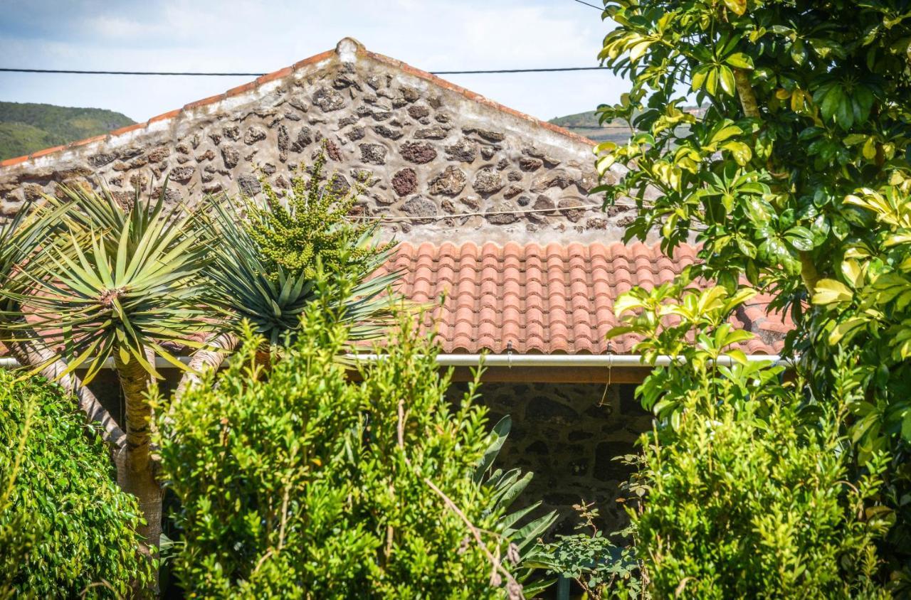 Вілла Quinta Dos Frutos Санта-Круш-да-Грасіоза Екстер'єр фото