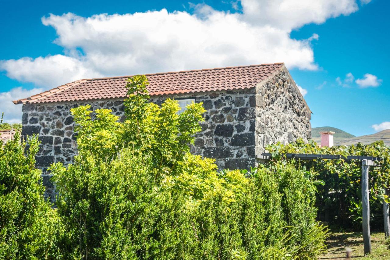 Вілла Quinta Dos Frutos Санта-Круш-да-Грасіоза Екстер'єр фото